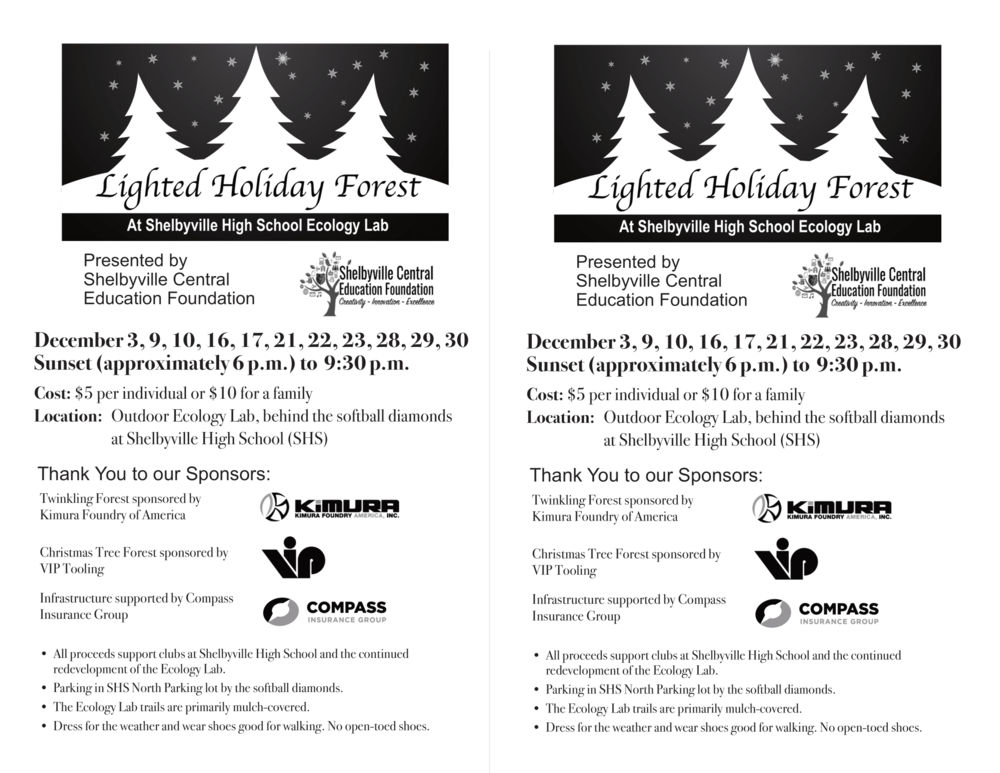 Lighted Holiday Forest
