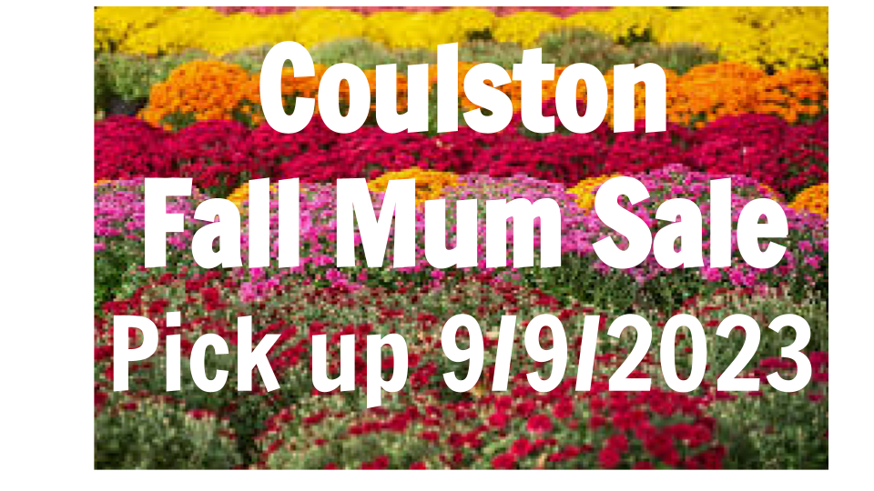 Coulston Fall Mum Sale Pick up 9/9/2023